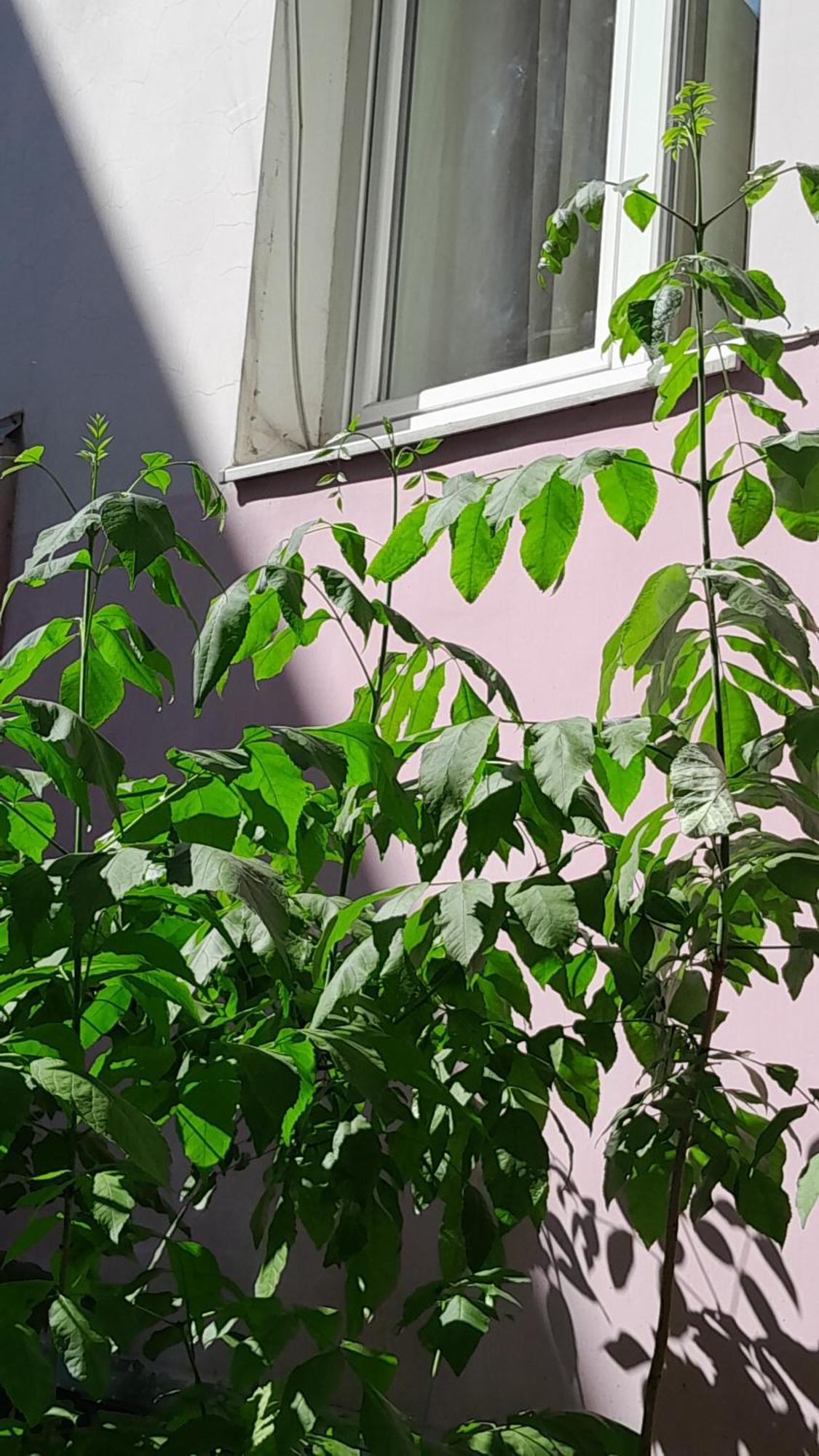 1Ком Апартаменты,Парковка,Улхорватская Lviv Kültér fotó